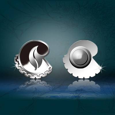 商務(wù)定制禮品的藝術(shù) 從紀(jì)念章、銀幣到項(xiàng)目策劃的全方位公關(guān)解決方案